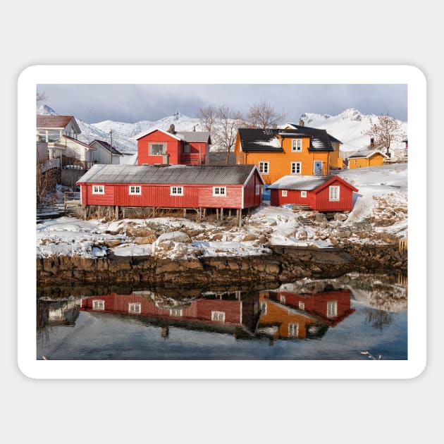 The Vivid Colours of Norway Sticker by krepsher